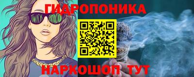дурь Гусев