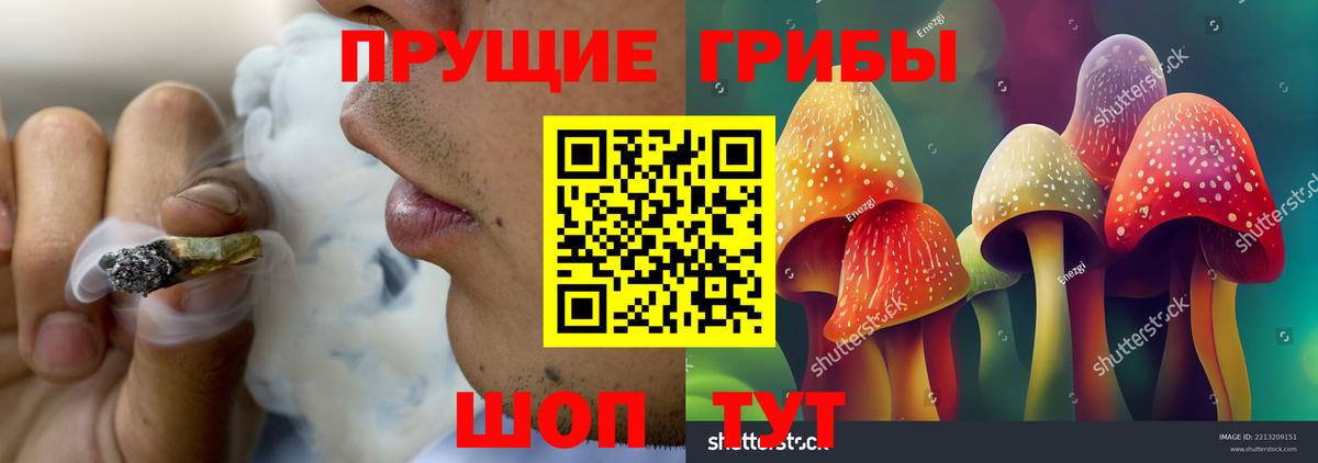 Железногорск  Псилоцибиновые грибы Magic Shrooms  Вход с VPN 